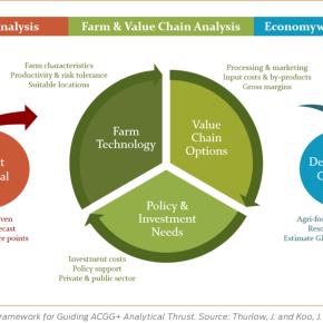 Building the business case for smallholder poultry development (part 2): Imagining ‘ACGG+’