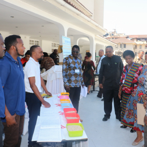 African Chicken Genetics project hands over plan for the Tanzanian Smallholder Poultry Association to government